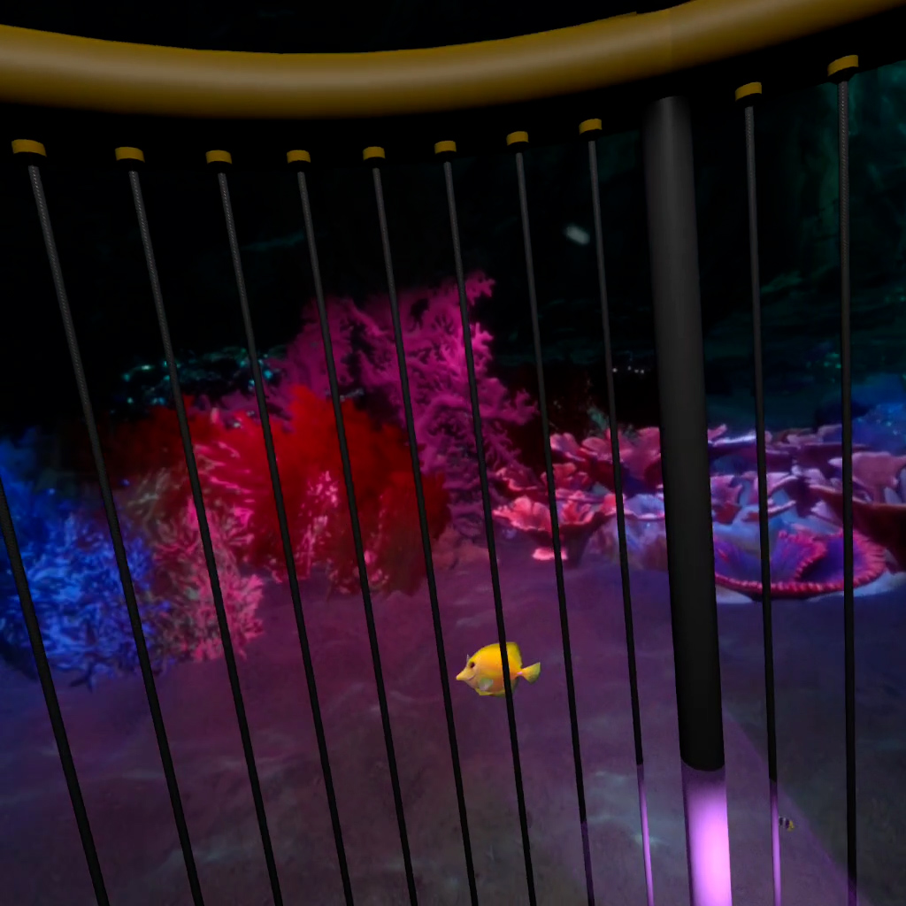 Peces en arrecife de coral